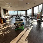 Restaurante Dama De